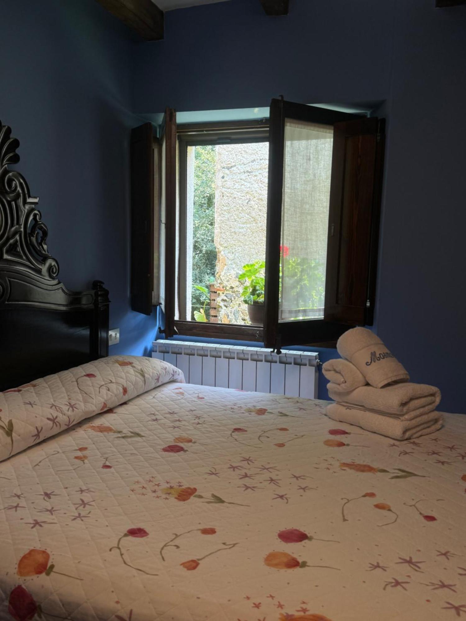 Mas Masnou Guest House Olot Exterior photo